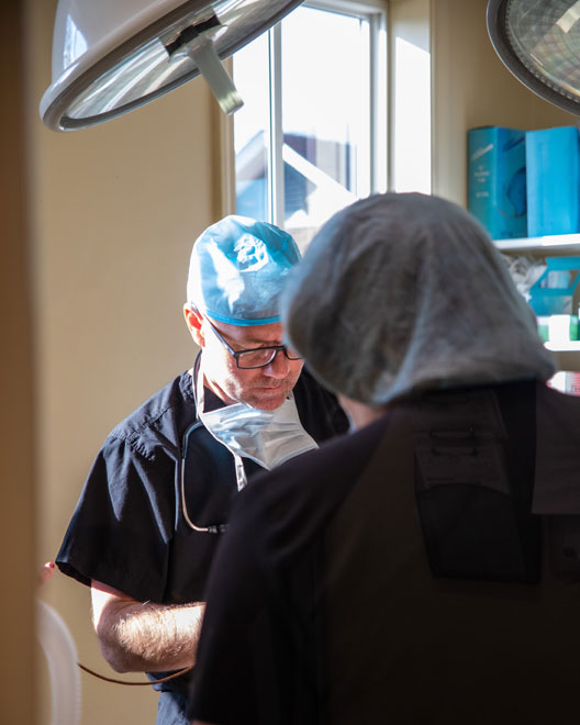 Veterinarian in Trenton Vet Near You Village Animal Healthcare